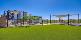 Meritum Sonoran Desert Gallery 42