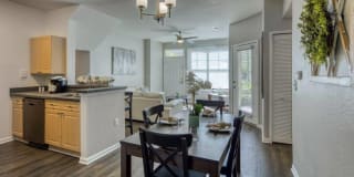 RiverTree Gallery 15