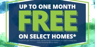 Vista View Apartments Gallery 2