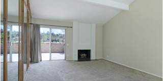 24802 Leto Circle Gallery 9