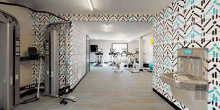 The Lily The Lily Gallery 17