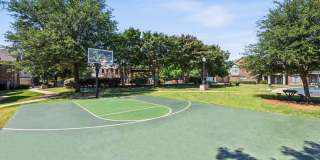 Enclave on Golden Triangle Apartments Gallery 13
