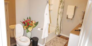 Remodeled Furnished 2 bed / 2 Bath Ohana in Waiehu - Includes Most Utilities Gallery 4