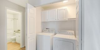 Bristle Pointe Gallery 25