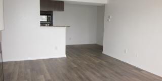 2 bedroom 2 bathroom with washer and dryer in Vantage Point Gallery 9