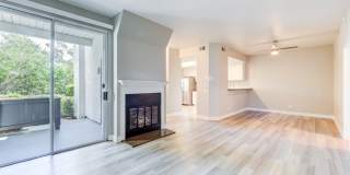 Harbor Pointe Apartments Gallery 10