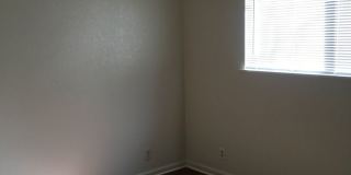 shas2228 Gallery 10