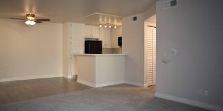 Encino Palms Gallery 17