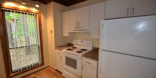 Charming 2 Bed / 2 Bath Home in Prime Chapel Hill Location Gallery 9