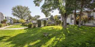 Villas Del Cielo Gallery 34