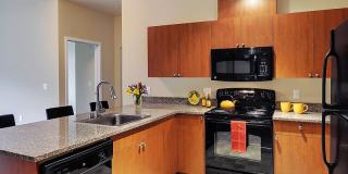 Redmond Square Gallery 44