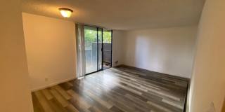 2159 Shelter Creek Lane Gallery 4