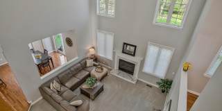 12902 CRICKMORE Trace Gallery 23
