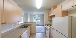 Palermo at Lakeland Gallery 35