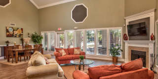 TimberLake Gallery 17