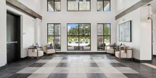 Ascend at Carlton Gallery 20