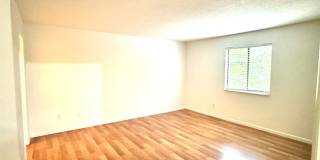 Spacious Ground-Floor 2-Bed/2-Bath Condo in Gated Community! Gallery 12