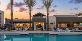 Acero Harvest Station Gallery 11