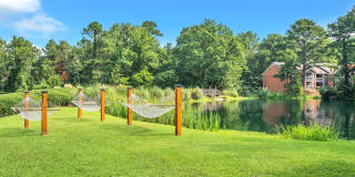 Turtle Lake Gallery 25