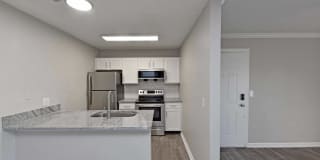 Amalie Apartment Homes Gallery 10