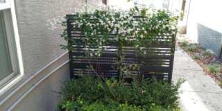 2 Bedroom/1 Bath Garden Style Apartment available now! Gallery 4