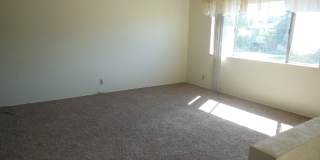 5013 Dyer Ln Gallery 3
