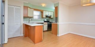 425 Summerwalk Gallery 10