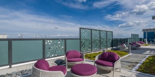 Bell Shady Grove Gallery 39