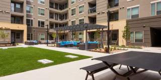 Avalon Lowry Gallery 51