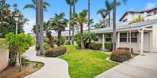 306 cazador Gallery 1