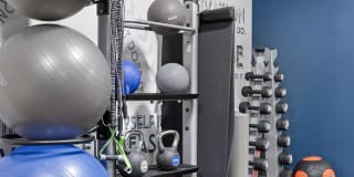 Sofi Lyndhurst Gallery 18