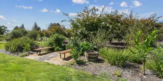 Riverwood Gallery 25