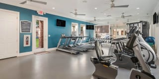 Kingwood Glen Gallery 22