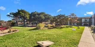 Pine Oaks Gallery 28