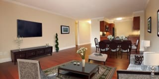 Regency Plaza Gallery 11