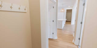 British Woods Gallery 10