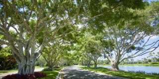 10240 Blue Heron Cove Gallery 40