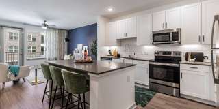 The Palmer Gallery 7