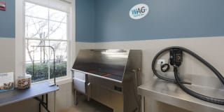 Avalon at Traville Gallery 25