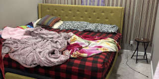 1598 Trieste Way Gallery 10