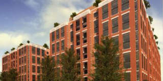 Senate Square Gallery 19