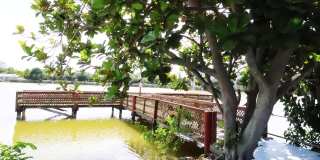 4154 HERON WAY Gallery 17