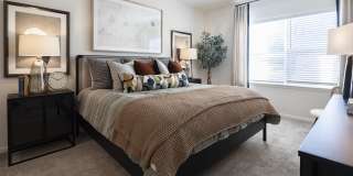 Waterleaf at Cold Springs Gallery 15