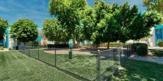 Sycamore Square Gallery 9