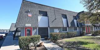 New Horizon Gallery 1