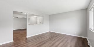 5240 Carbondale Drive Gallery 4