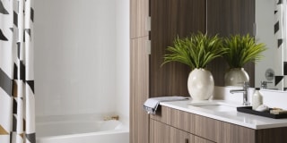 The Emery at Overlook Ridge Gallery 34