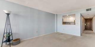 925 N Halifax Avenue unit: 410 Gallery 6