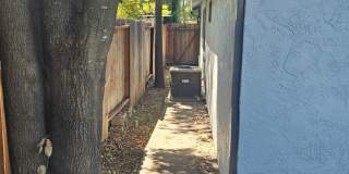 Summer Field Area Gallery 35