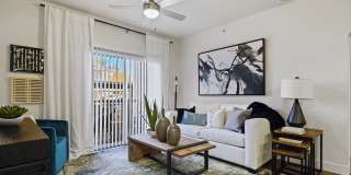 Preston Hollow Gallery 5